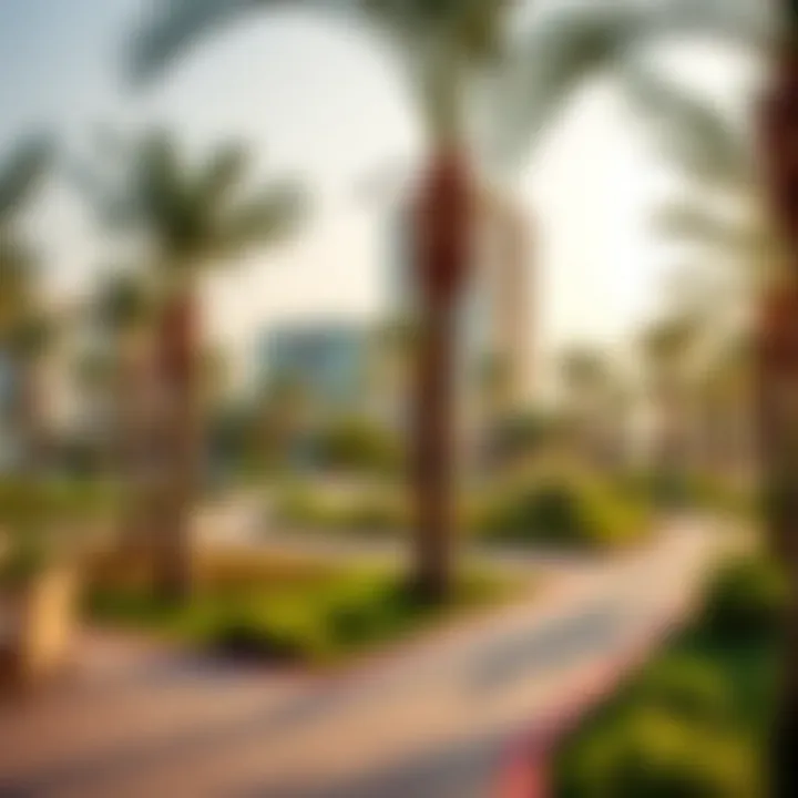A vibrant community park in Aster Karama, filled with green spaces and recreational facilities