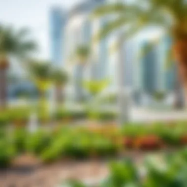 Visual representation of environmental initiatives within the Dubai South project