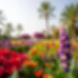 Lush landscape of Dubai's premier gardens showcasing vibrant flora