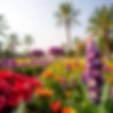 Vibrant Flora of Dubai's Gardens Lush landscape of Dubai's premier gardens showcasing vibrant flora