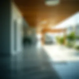 Exploring the Tilal Al Ghaf Community Introduction