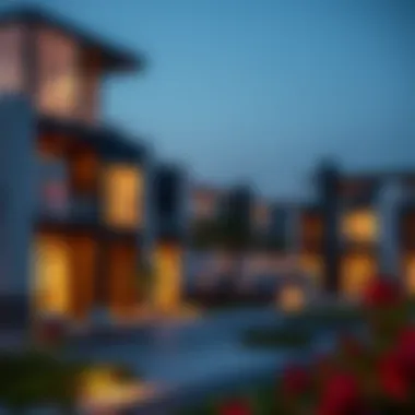 Investment opportunities highlighted in Treo Homes development
