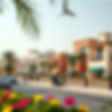 Dubai Neighborhood Lifestyle Vibrant neighborhood in Dubai, illustrating community lifestyle and amenities available.