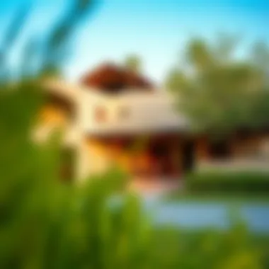 A Glimpse of Traditional Farmhouses in the UAE Traditional UAE farmhouse surrounded by lush greenery