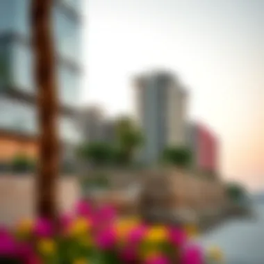Understanding the Impact and Implications of Green Residency in the UAE Summary